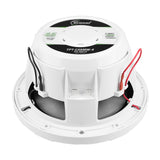 TPT-CX6MW-4