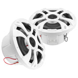 TPT-CX6MW-4